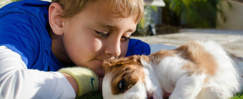 Cavalier King Charles Spaniel with children