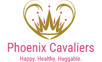 Cavalier King Charles Spaniels